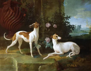 Misse e Turlu, dois galgos de Luís XV